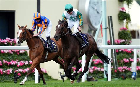 albany stakes tips|Donnacha O'Brien downs father Aidan as Porta Fortuna reigns .